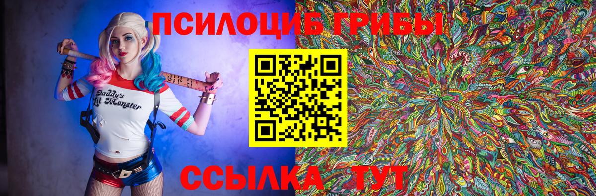 Черногорск  Псилоцибиновые грибы MAGIC MUSHROOMS  Вход с VPN 