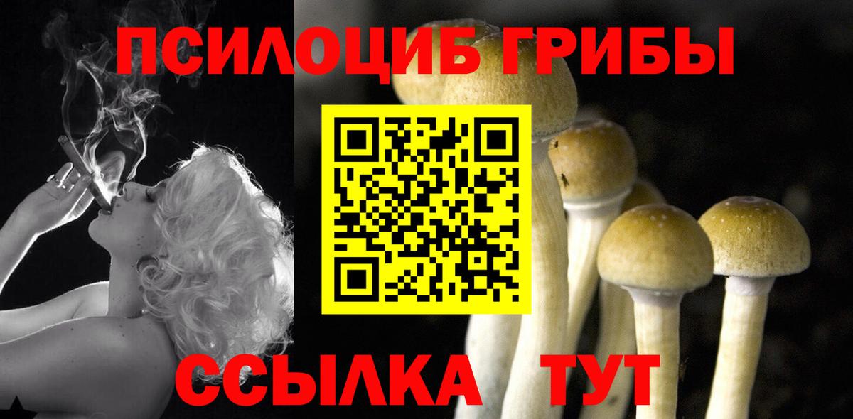Псилоцибиновые грибы мухоморы Черногорск
